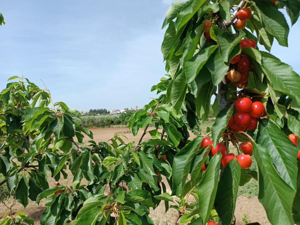 Farm stay Passo Do Lobo -