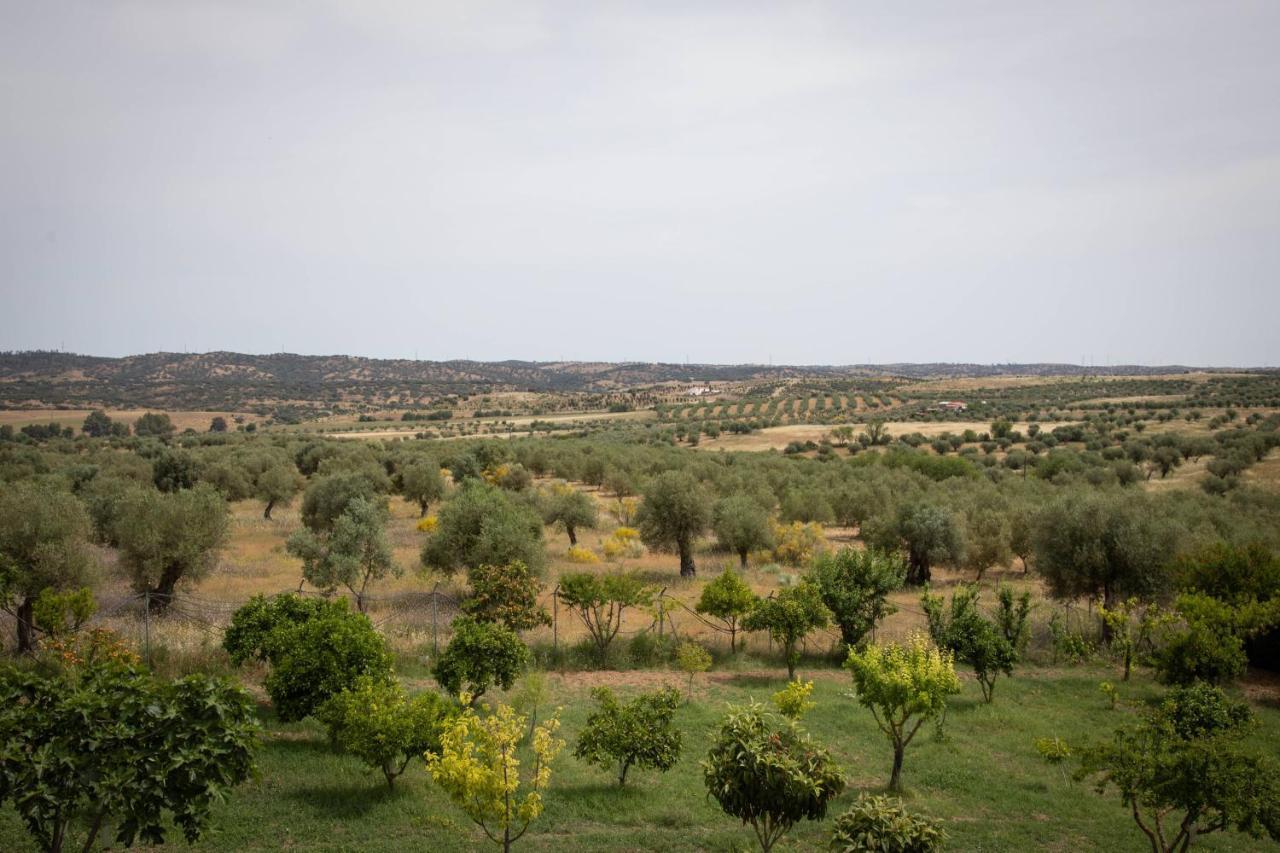 Farm stay Passo Do Lobo - Moura