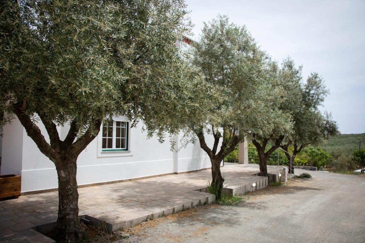 Farm stay Passo Do Lobo - *